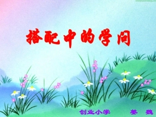 《搭配中的学问》教学课件姜魏