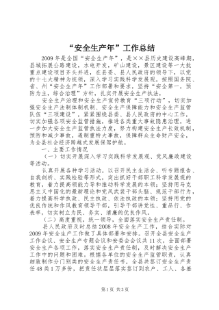 “安全生产年”工作总结 