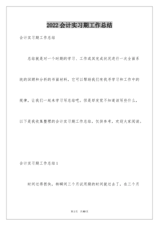 2024会计实习期工作总结_9