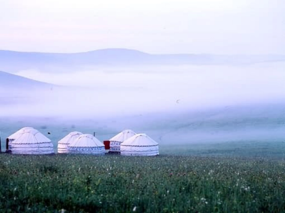 五年级下册草原_第3页