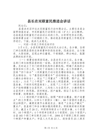 县长在双联富民推进会讲话发言