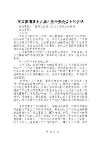 在共青团县十八届九次全委会议上的讲话发言