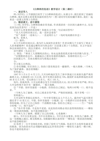 白桦林的低语