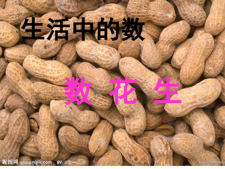 一年级数学《数花生》_第2页