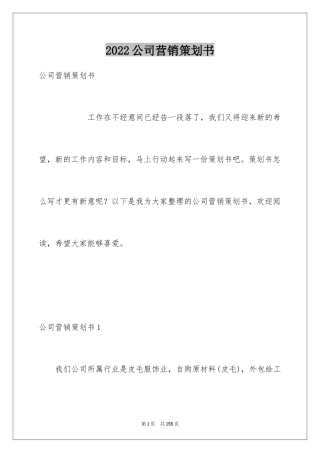 2024公司营销策划书