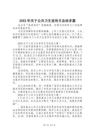 20XX年关于公共卫生宣传月总结多篇