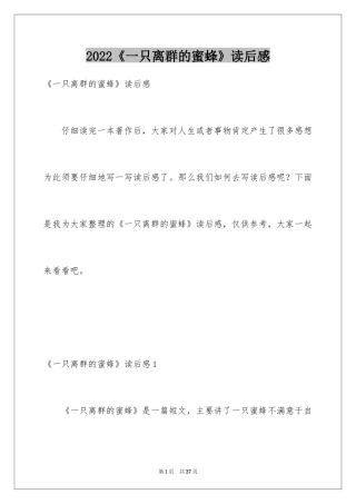 2024《一只离群的蜜蜂》读后感