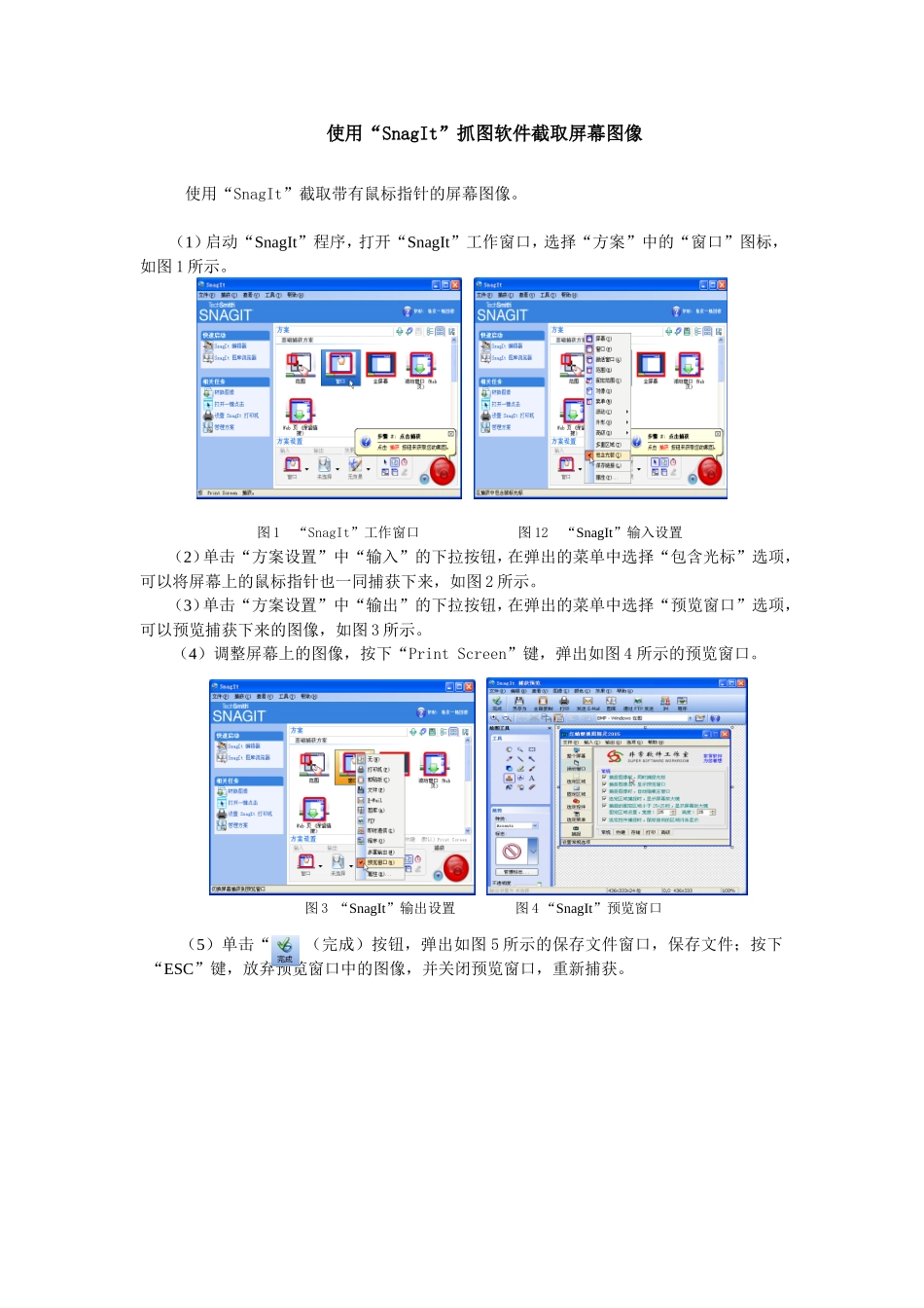 使用“SnagIt”抓图软件截取屏幕图像_第1页