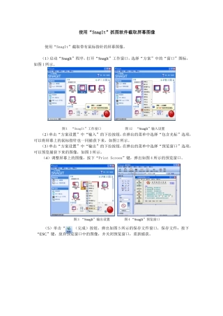 使用“SnagIt”抓图软件截取屏幕图像