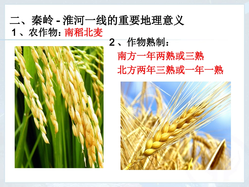 《自然特征与农业》（北方地区）精选课件_第3页
