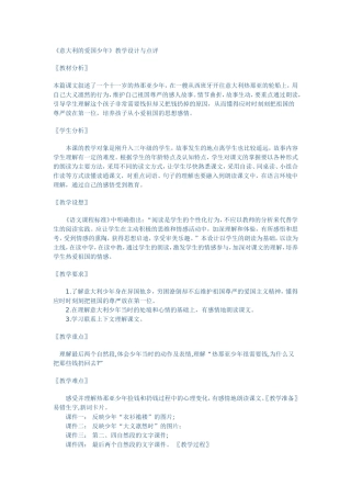 意大利的爱国少年(2)