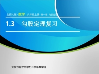 勾股定理复习 (2)