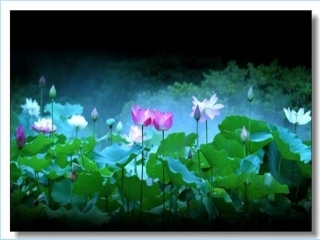 《苏幕遮》(周邦彦)公开课1