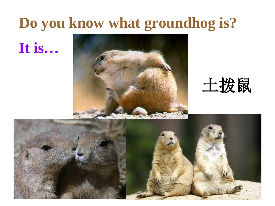 冀教八年级下册Unit1+Spring+is+Coming!L6+Story+about+spring（共23张PPT）_第3页