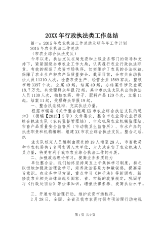 20XX年行政执法类工作总结