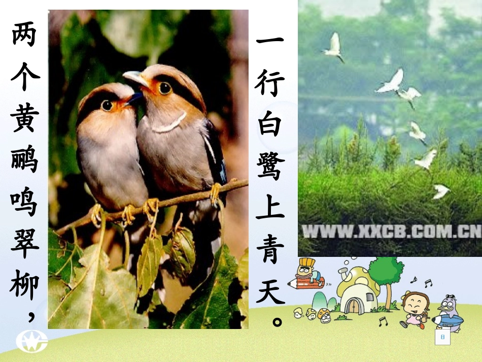 动物在生物圈中的作用_第3页