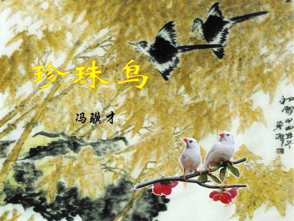 五年级语文下册_珍珠鸟_课件_语文S版_第1页