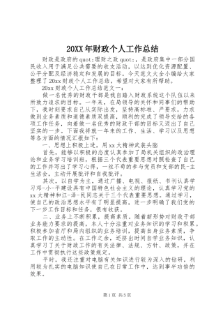 20XX年财政个人工作总结