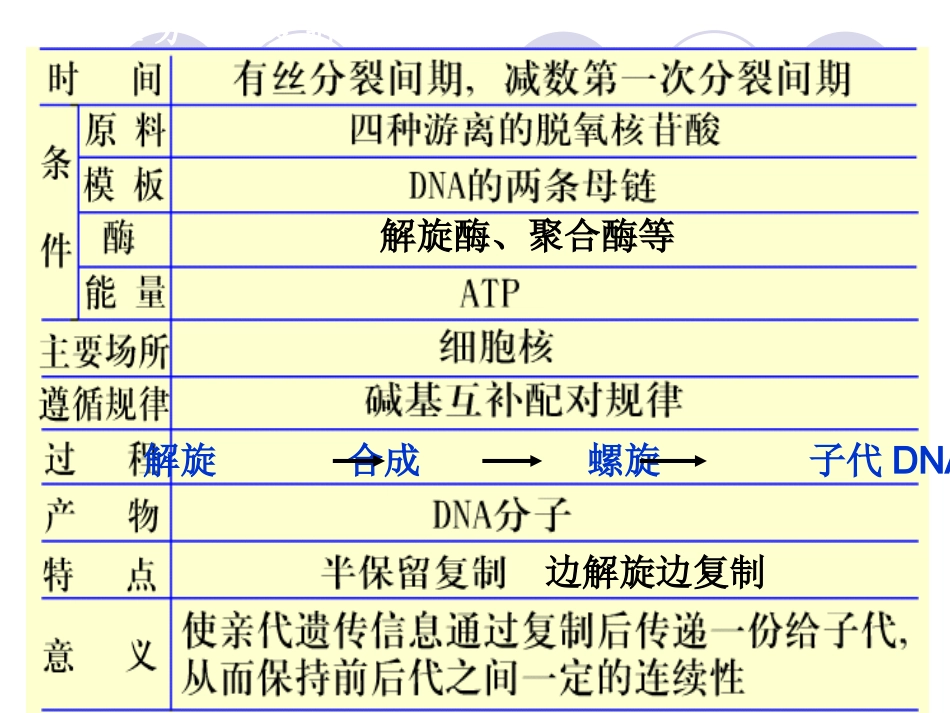 基因知道蛋白质合成上课_第1页