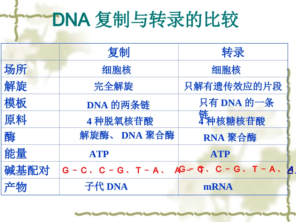 基因知道蛋白质合成上课_第3页