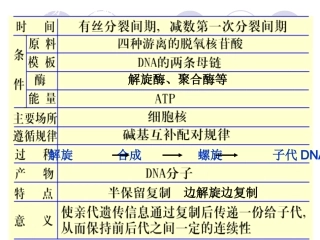 基因知道蛋白质合成上课