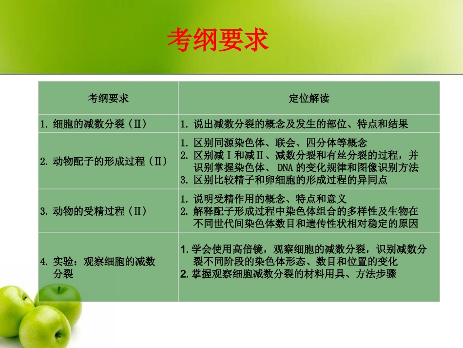 减数分裂复习课件_第2页