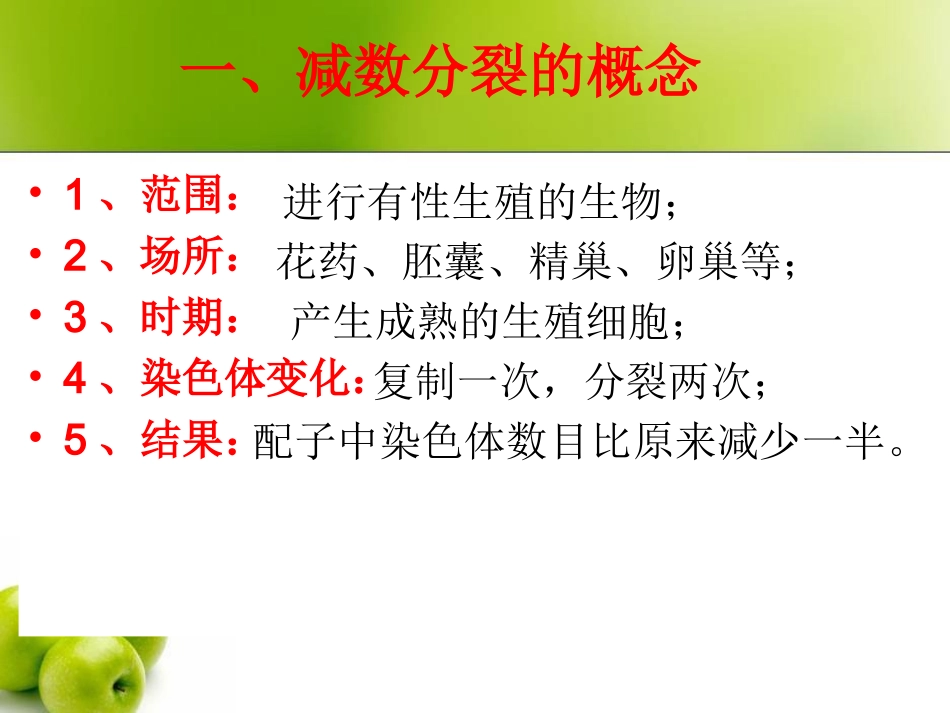 减数分裂复习课件_第3页