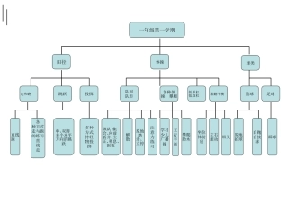 体育一年级第一学期知识结构图