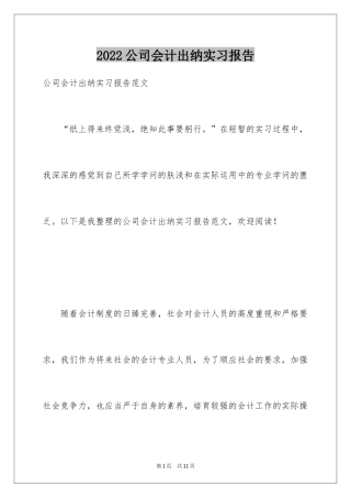 2024公司会计出纳实习报告