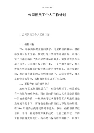 公司新员工个人工作计划