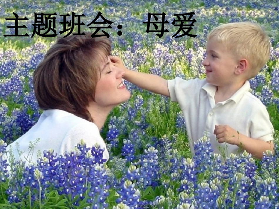 《母爱》主题班会课件_第1页