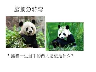 黑白装饰画课件