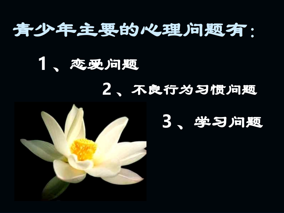 早恋主题班会课件_第3页