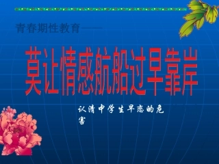 早恋主题班会课件