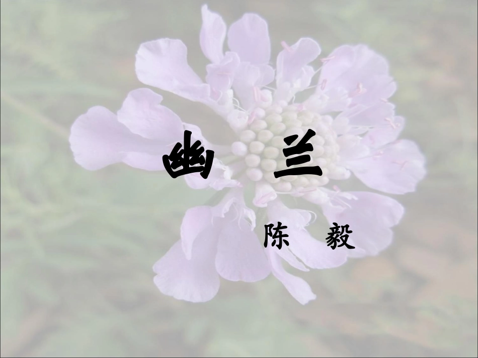 《幽兰》教学课件_第1页