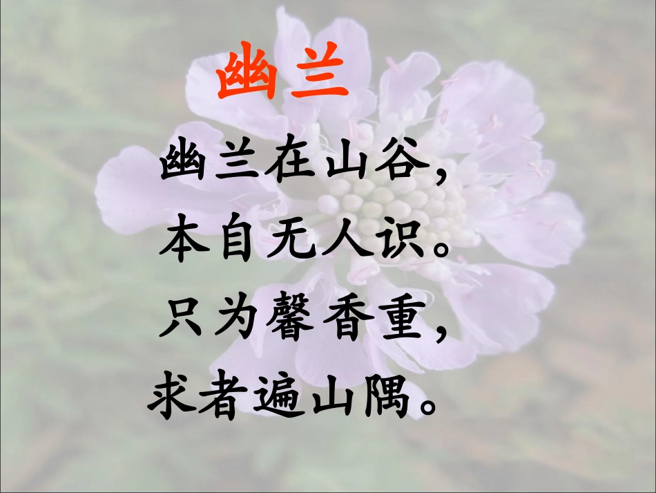 《幽兰》教学课件_第3页