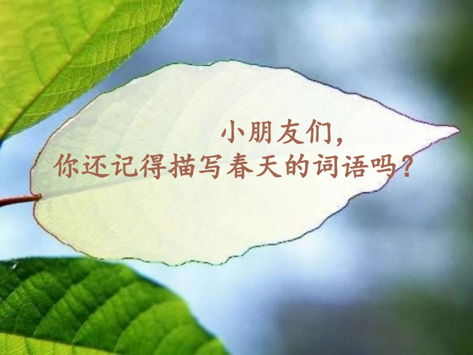 《春雨的色彩》课件1_第1页