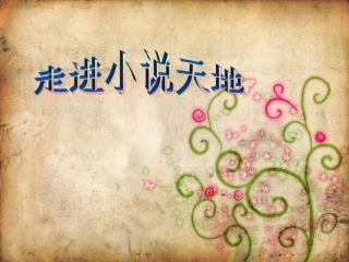 走进小说天地
