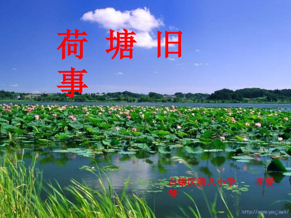 公开课荷塘旧事课件_第1页