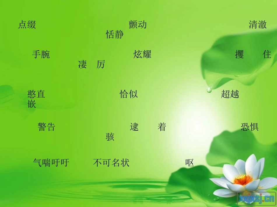 公开课荷塘旧事课件_第2页