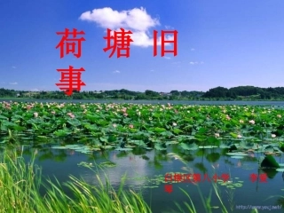 公开课荷塘旧事课件