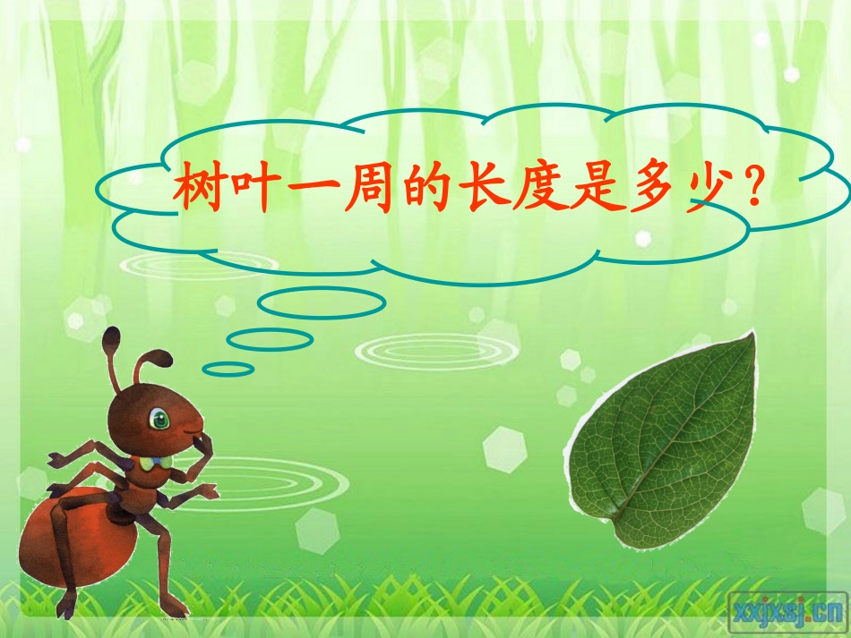 《什么是周长》PPT课件1_第3页