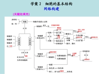 生物专题一学案2