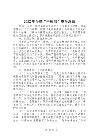 20XX年乡镇“中梗阻”整治总结