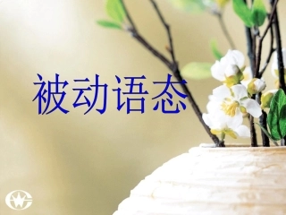 中考被动语态
