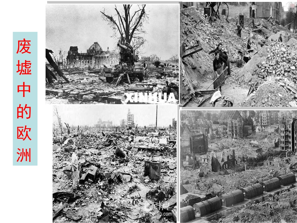 九年级下册第九课_第3页