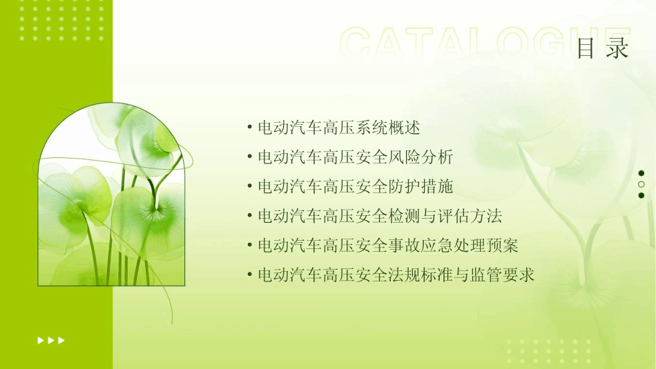 2024版年度电动汽车高压安全及防护 _第2页