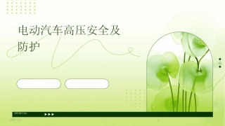 2024版年度电动汽车高压安全及防护 