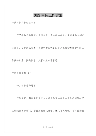 2024中队工作计划_4