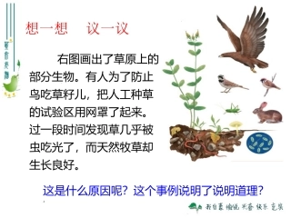 生物与环境组成生态系统上